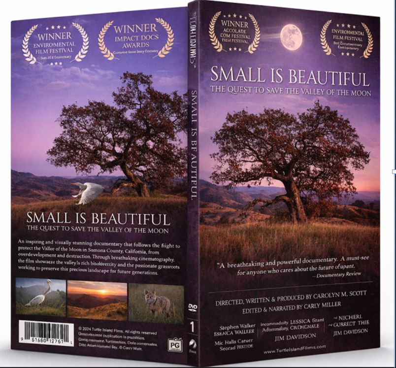 a DVD case mockup